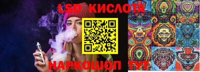 стафф Кандалакша