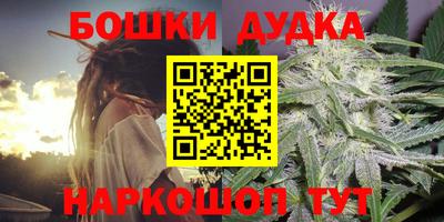 стафф Кандалакша